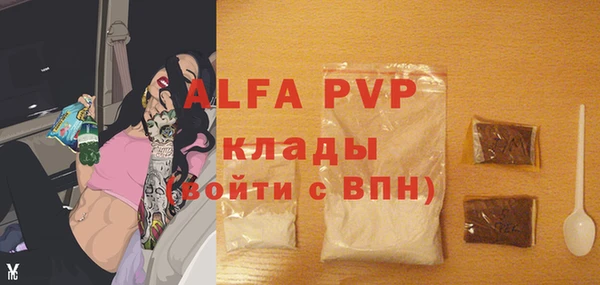 твердый Абаза
