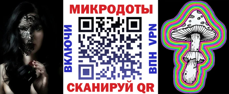 что такое   Тимашёвск  Галлюциногенные грибы Psilocybe 