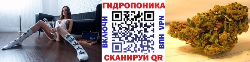Шишки марихуана конопля  хочу наркоту  Тимашёвск 